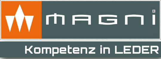 Magni_logo